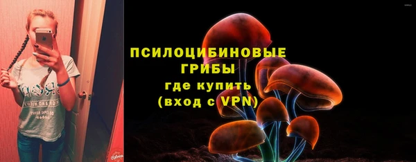 первитин Армянск