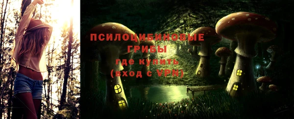 2c-b Аркадак