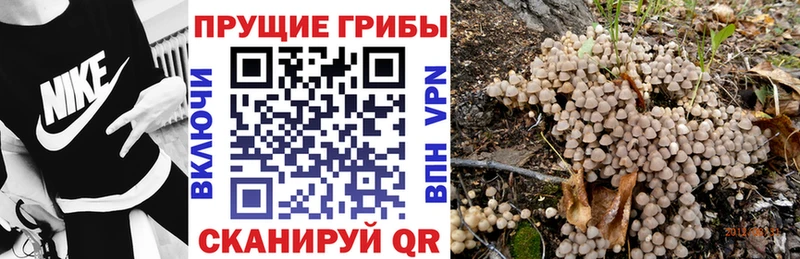 Псилоцибиновые грибы MAGIC MUSHROOMS Минусинск
